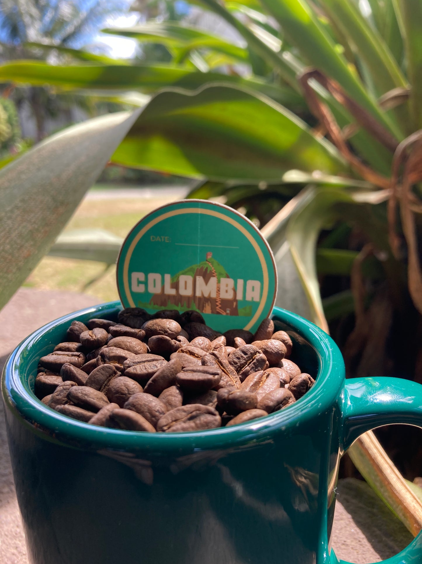 COLOMBIA Nariño – Fair Trade, Organic Light Roast