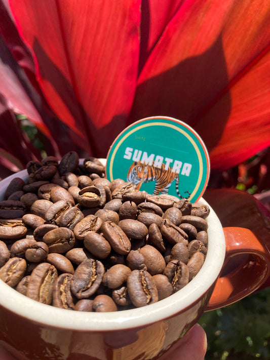 Sumatra Gayo – Organic Fair-Trade Coffee Beans (Heavy Medium Roast)