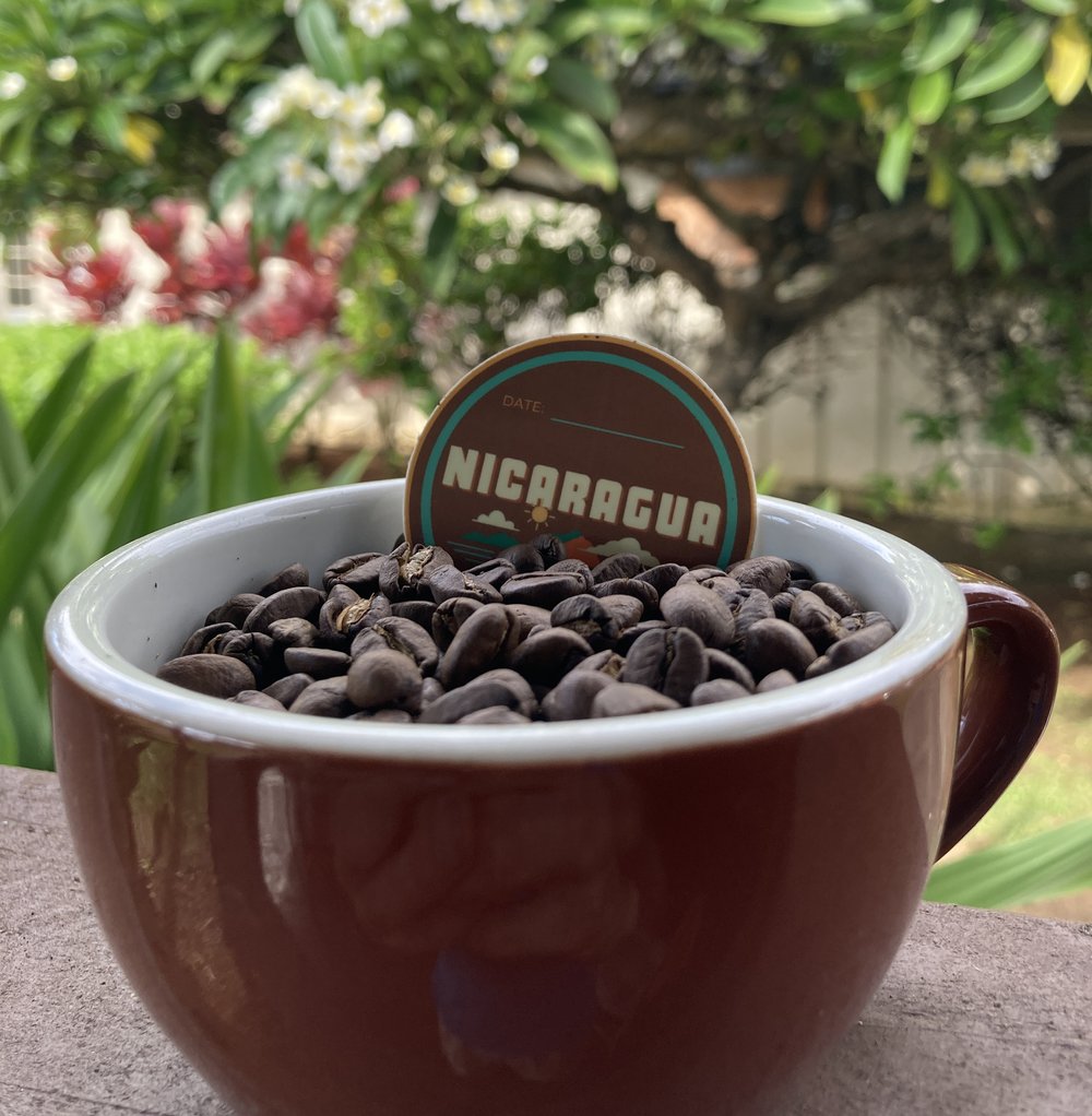 NICARAGUA Segovia – Fair-Trade, Organic Medium Roast