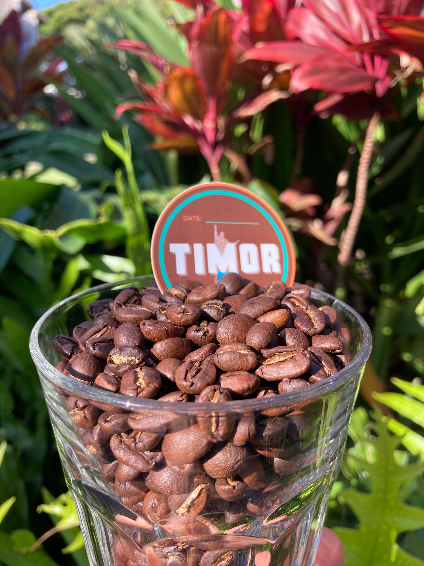 Timor-Leste Special Reserve – Medium Roast