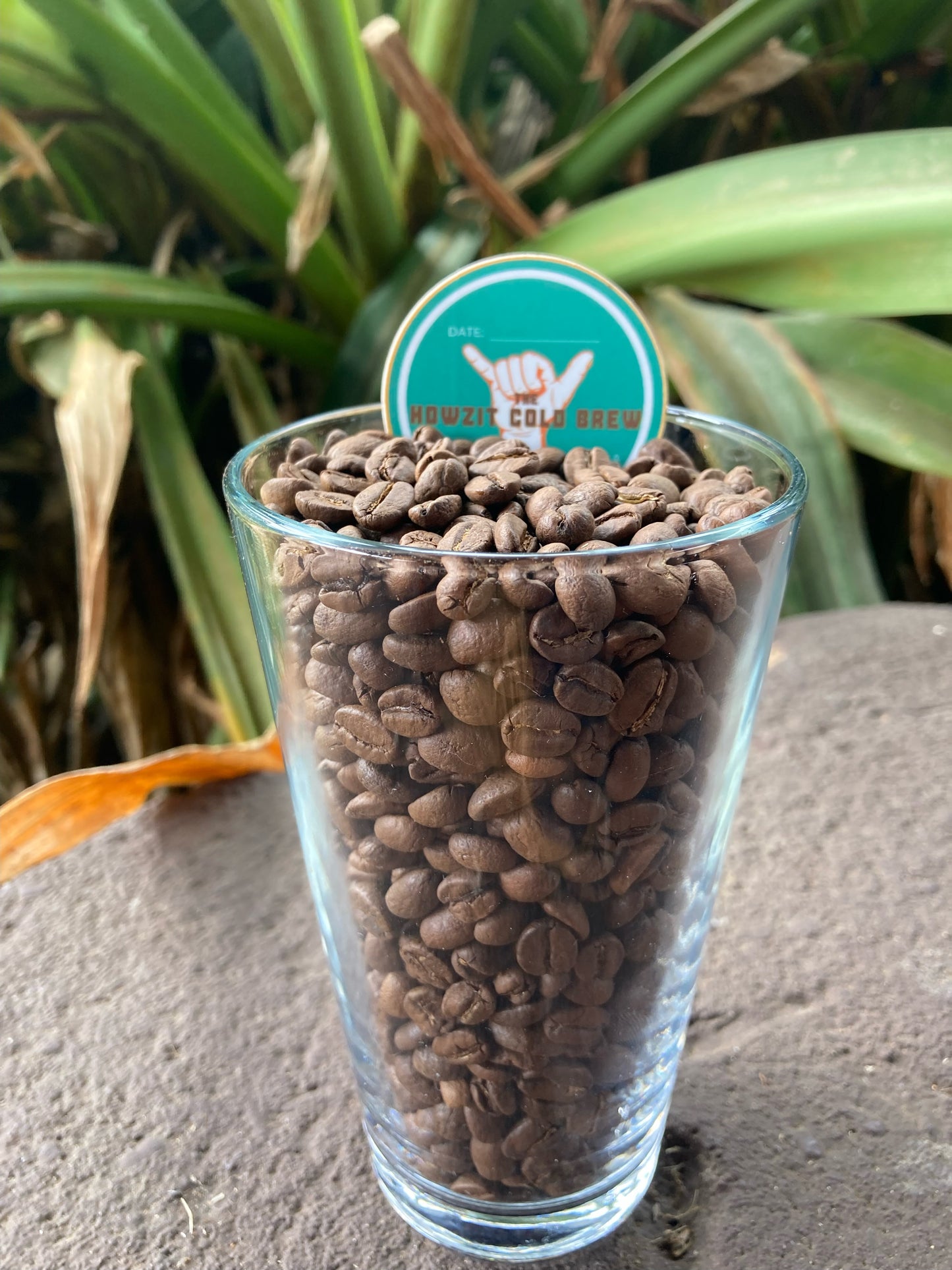 Howzit Brew – Cold Brew Coffee Beans (Medium Roast, Organic & Fair-Trade)